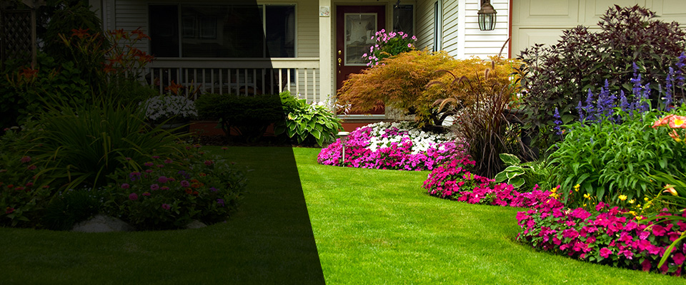 Tallapoosa Landscapers
