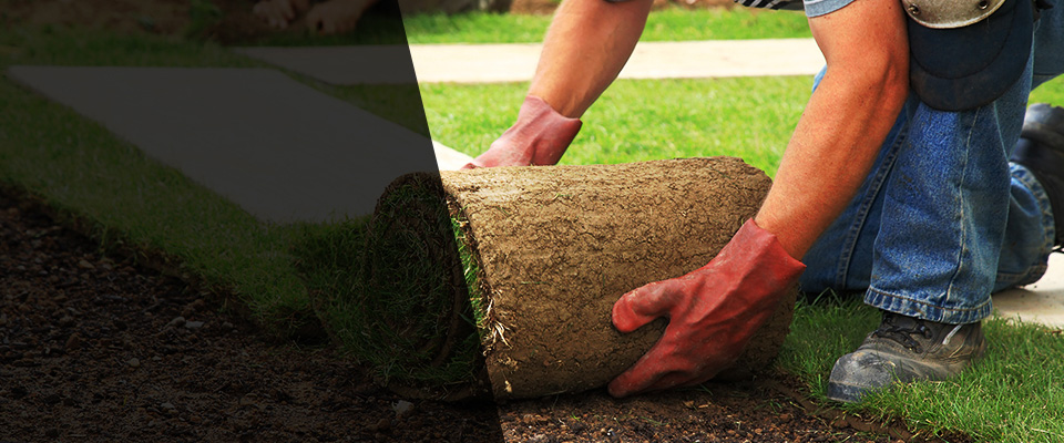 Tallapoosa Landscapers